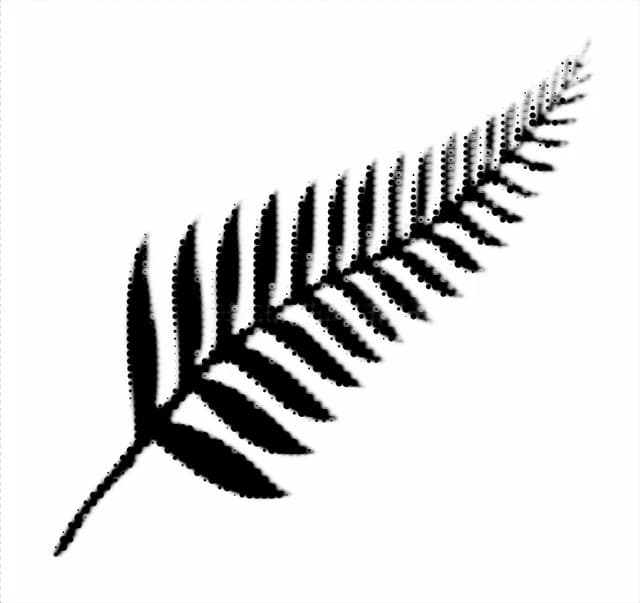 Silver Fern ASCII — ASCII art photo-effect recipe by Rocco M