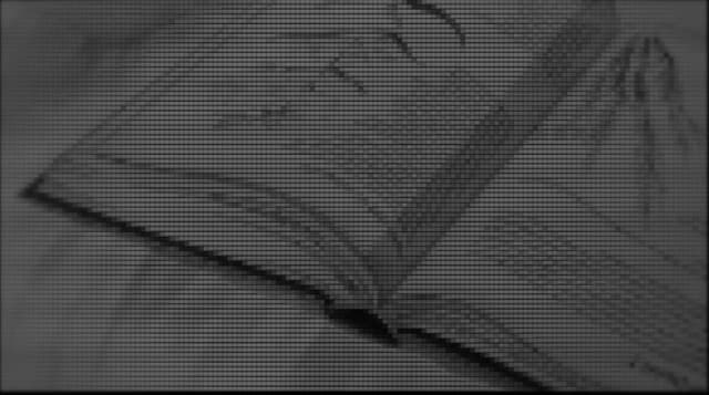 Book — ASCII art photo-effect recipe by Penisboy