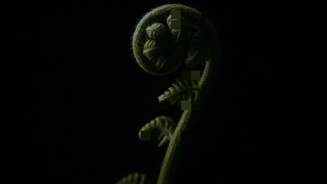 Green Nature — ASCII art photo-effect recipe by Roman