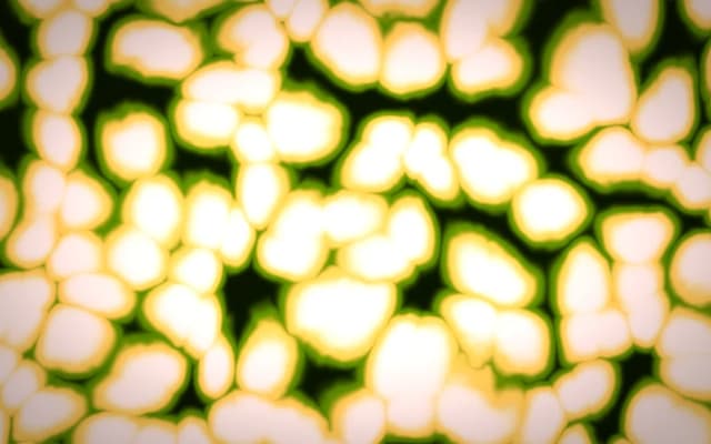 cells — animated WebGL shader background for React by Henry